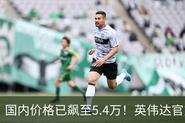 国内价格已飙至5.4万！英伟达官方商城下架RTX 5090：停产传闻坐实