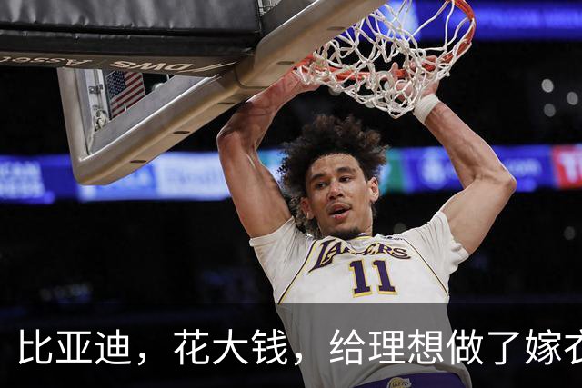比亚迪，花大钱，给理想做了嫁衣