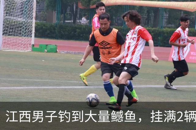 江西男子钓到大量鳡鱼，挂满2辆电动车！网友：为民除害！再多也不眼红