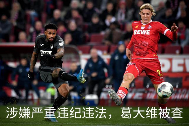 涉嫌严重违纪违法，葛大维被查