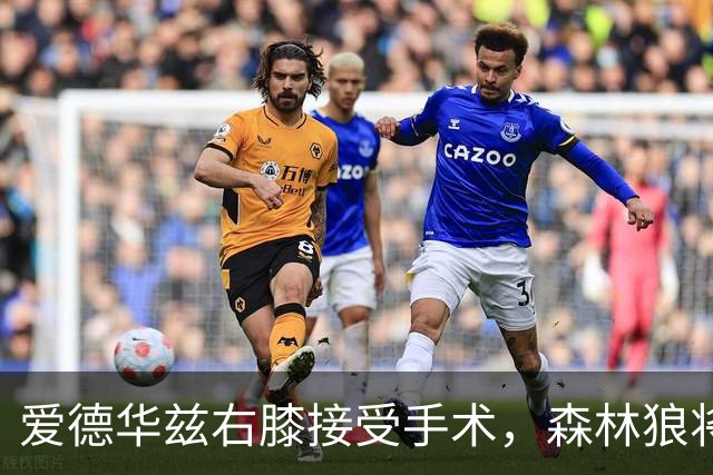 爱德华兹右膝接受手术，森林狼将一次性解决膝伤，预计休战2个月