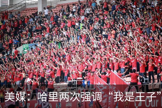 美媒：哈里两次强调“我是王子”，而威廉王子则称“直呼其名即可”