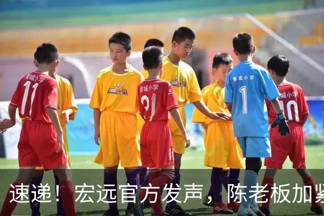 速递！宏远官方发声，陈老板加紧回购徐昕，杨鸣批广东已失去气质