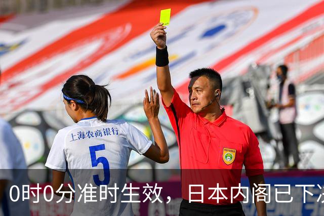 0时0分准时生效，日本内阁已下决心，对中国加税，最高顶格出手
